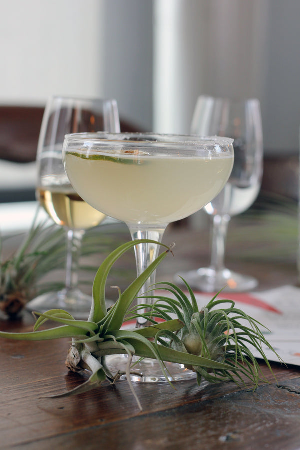 Temperance Margarita